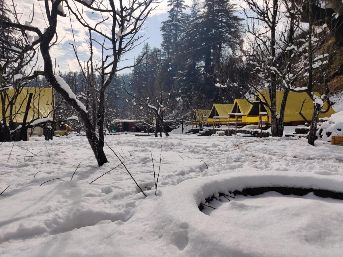Himtrek Riverside Camps & Hostel Manali Bagian luar foto