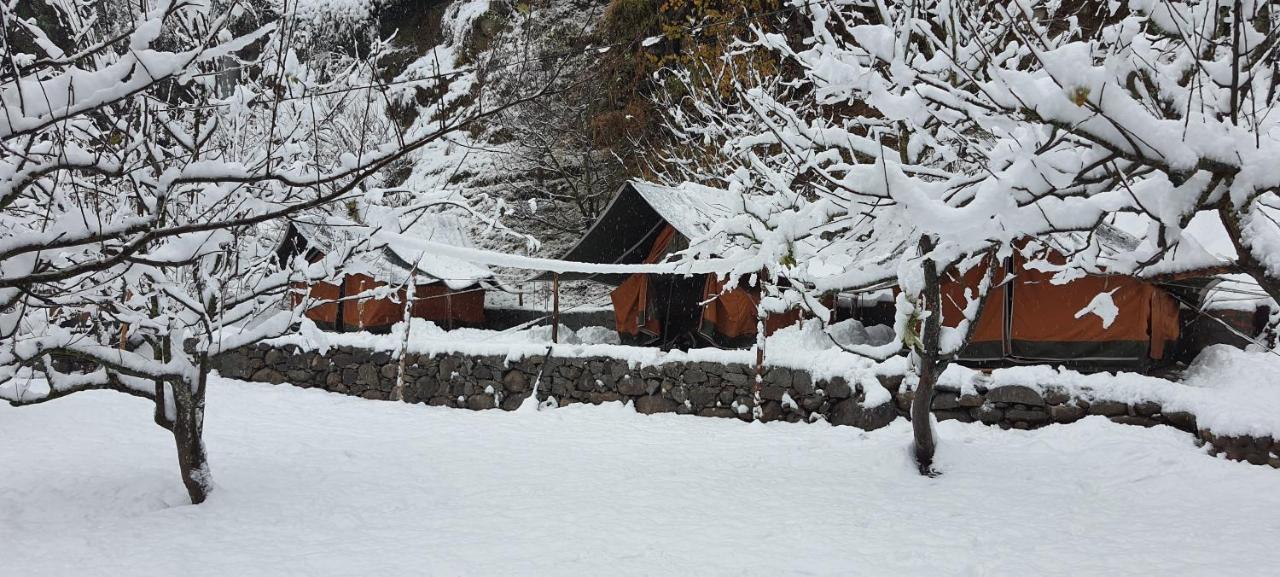 Himtrek Riverside Camps & Hostel Manali Bagian luar foto