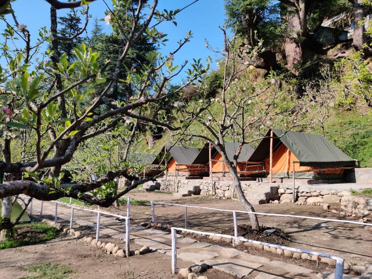 Himtrek Riverside Camps & Hostel Manali Bagian luar foto