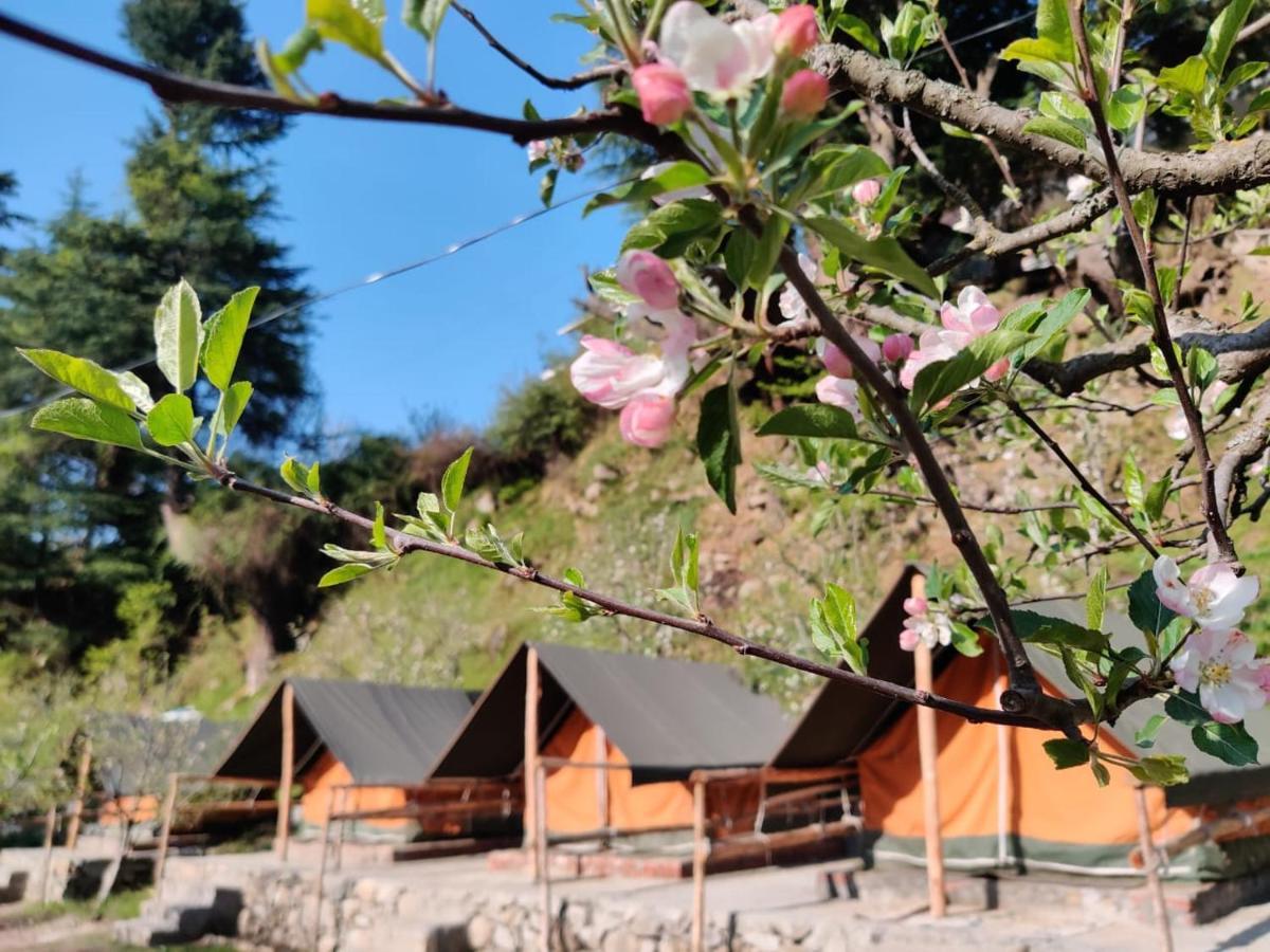 Himtrek Riverside Camps & Hostel Manali Bagian luar foto