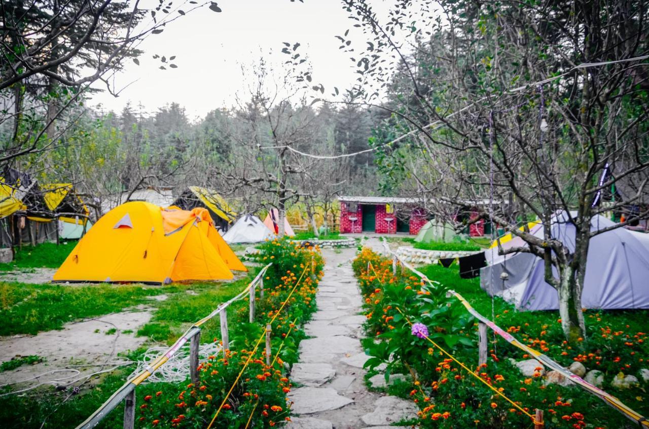 Himtrek Riverside Camps & Hostel Manali Bagian luar foto