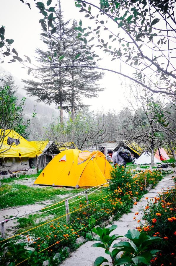 Himtrek Riverside Camps & Hostel Manali Bagian luar foto