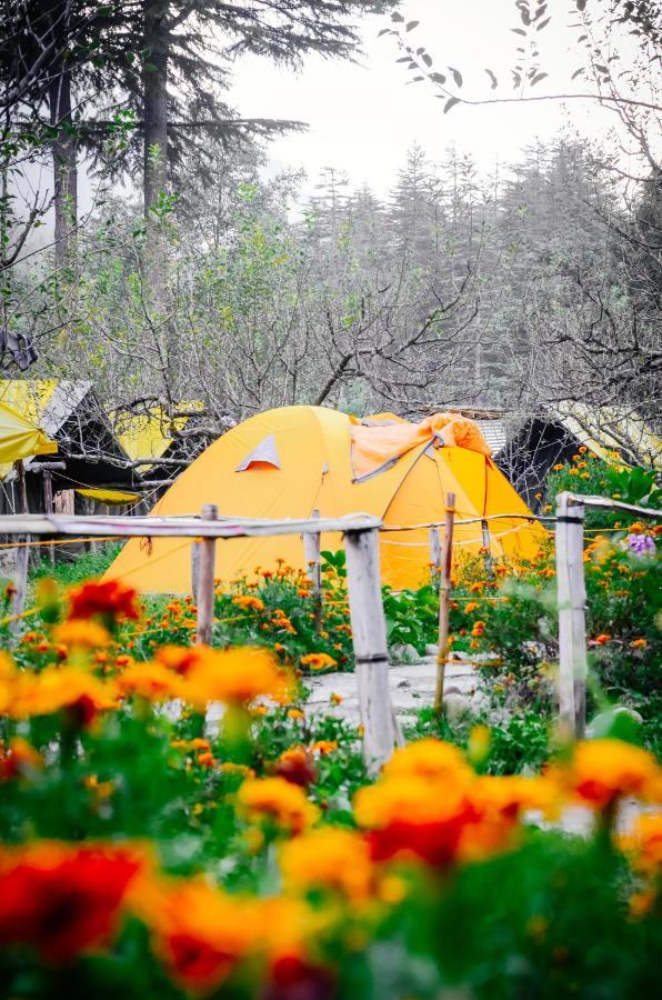 Himtrek Riverside Camps & Hostel Manali Bagian luar foto