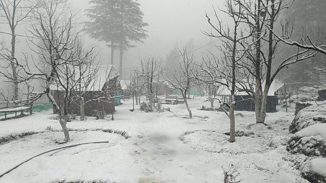 Himtrek Riverside Camps & Hostel Manali Bagian luar foto